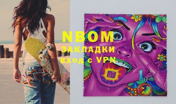 индика Алексин