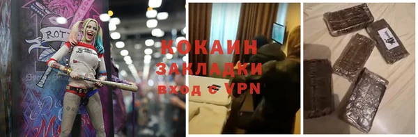 индика Алексин