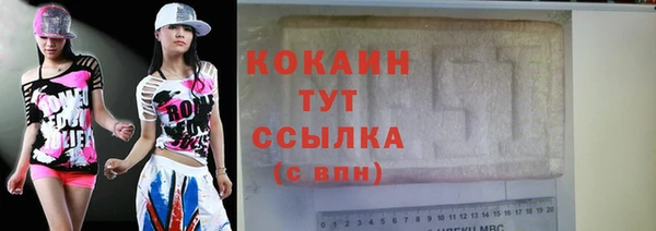 прущий лед Алзамай