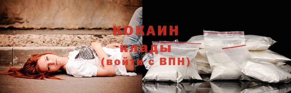 прущий лед Алзамай