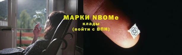 индика Алексин