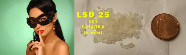 индика Алексин