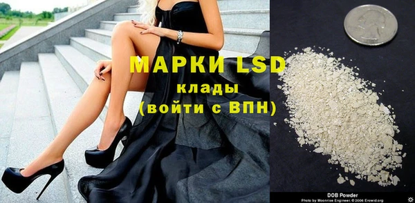 индика Алексин