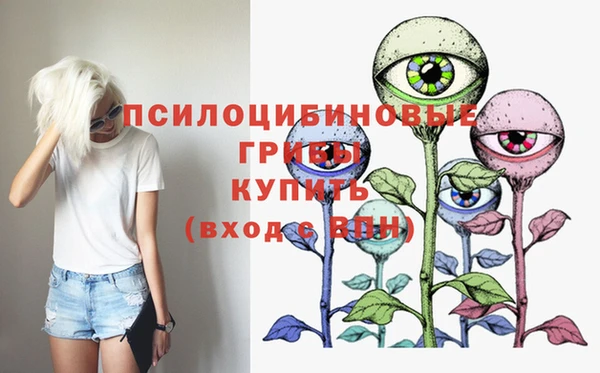 прущий лед Алзамай