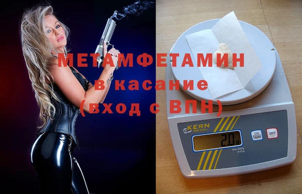индика Алексин