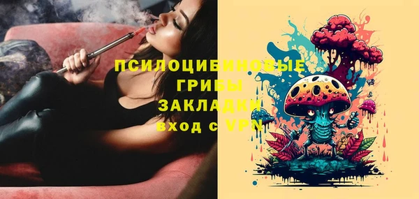 прущий лед Алзамай