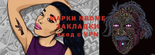 прущий лед Алзамай