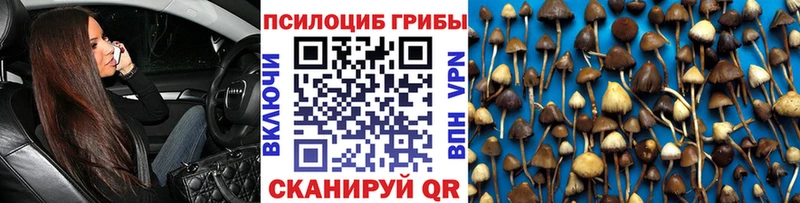 Псилоцибиновые грибы Psilocybine cubensis  OMG ONION  Арамиль 